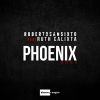 Download track Phoenix [Massivedrum Remix]