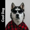 Download track Unworried Doggo