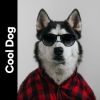 Download track Keeping A Doggo's Stress Away