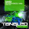 Download track Heaven Voices (Radio Edit)