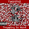 Download track Trapping So Hard