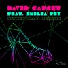 Download track Little Glass Slipper (David From Venus Remix)