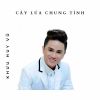 Download track Tình Cây Đu Đủ (New Ver)