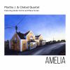 Download track Amelia