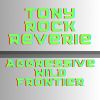 Download track Atmospheric Reverb