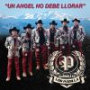 Download track Un Angel No Debe Llorar