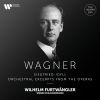 Download track Götterdämmerung, Act III- Siegfried's Funeral March