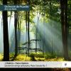 Download track Piano Sonata No. 1 In C Major, Op. 1 (Arr. For Orchestra By Henk De Vlieger): II. Andante