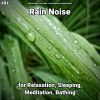 Download track Rain No Music