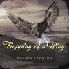 Download track Flapping Of A Wing