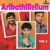 Download track Pattinthe Pudavayil