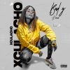 Download track Xculacho