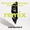 Download track Beware The Stranger (Matthew Herbert's Wanted Instrumental)