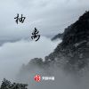 Download track 抽离 (伴奏)