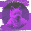 Download track High Class Ambience For Calming Pups