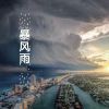 Download track 暴风雨