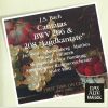 Download track Cantata BWV 208 - XIV. Aria Pan - Ihr Felder Und Auen LaÃt GrÃ¼nend Euch Sc...