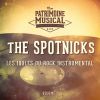 Download track The Spotnicks Theme