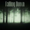 Download track Falling Down (Extended Version)