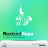 Download track Nata (Original Mix)