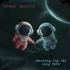 Download track Space Oddity (Bonus Track)