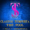 Download track THE POOL (INSTRUMENTAL MIX)