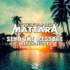 Download track Send The Message (Steve McKelly, Alex Avenue Tropical RMX)