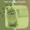 Download track Carefree Calming Pups