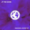 Download track Unknown Journey