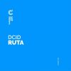 Download track Ruta (Nico Zas Remix)