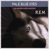 Download track Pale Blue Eyes (Live)