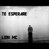 Download track Te Esperare