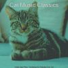 Download track Tasteful Ambience For Resting Cats