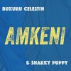 Download track Amkeni'