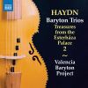 Download track Haydn: Baryton Trio In G Major, Hob. XI: 67: III. Finale. Allegro Di Molto
