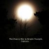 Download track The Starry Sky Is Bright Tonight, Captain