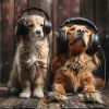 Download track Pet’s Harmonious Tunes