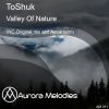 Download track Valley Of Nature