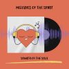 Download track Melodic Reflections Of The Soul