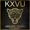 Download track Jaguar (Lorenzo BITW Remix)