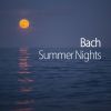 Download track J. S. Bach: Sinfonia No. 15 In B Minor, BWV 801