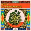 Download track Clairvoyance (Radio Edit)