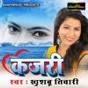 Download track Sawan Bhadaua Ke