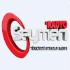 Download track Ankara Bebesiyim