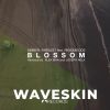 Download track Blossom (Joseph Rela Remix)