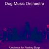 Download track Wicked Solo Piano Jazz - Vibe For Doggy Training