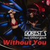 Download track Without You