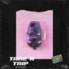 Download track Take A Trip