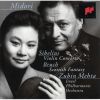 Download track 03 - Sibelius Concerto For Violin And Orchestra In D Minor - III. Allegro, Ma Non Tanto