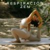 Download track Música De Meditación Yoga